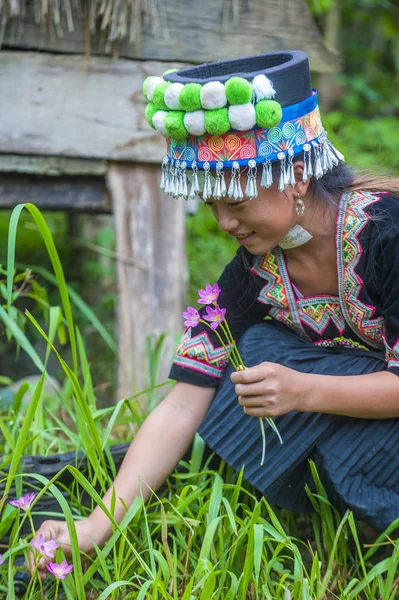 Bam Ouan Laos Augustus Meisje Van Hmong Minderheid Bam Ouan — Stockfoto