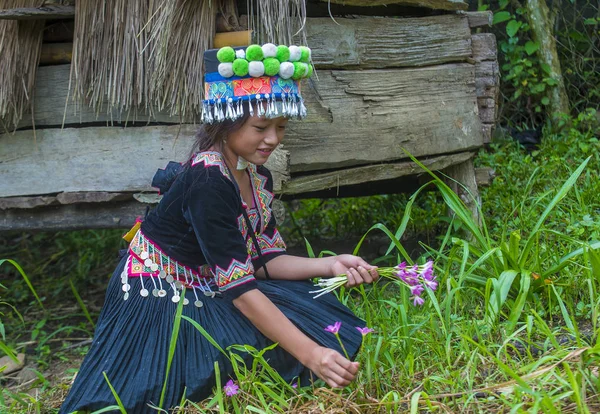 Bam Ouan Laos August Mädchen Aus Der Hmong Minderheit Bam — Stockfoto