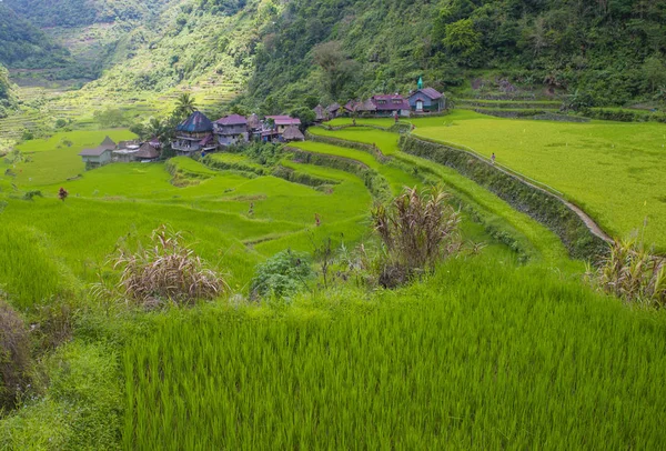 Vista Dos Campos Terraços Arroz Banaue Filipinas Terraços Arroz Banaue — Fotografia de Stock