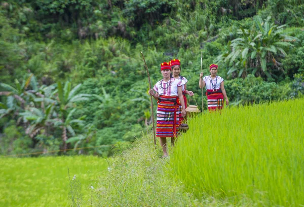 Banaue Filipinas Maio Mulheres Minoria Ifugao Perto Terraço Arroz Banaue — Fotografia de Stock