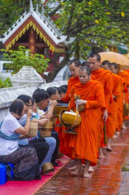 Luang Prabang, Laos - 11 Ağustos 2018: Luang Prabang Laos'ta üzerinde 11 Ağustos 2018 töreni Budist sadaka. Bu yaklaşık 1 içinde 3 erkek Laotians bir manastır katılmak tahmin edilmektedir