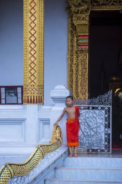 Luang Prabang, Laos - 12 Ağustos 2018: Acemi keşiş Luang Prabang Laos üzerinde 12 Ağustos 2018. Bu yaklaşık 1 içinde 3 erkek Laotians bir manastır en azından bir süre için katılmak tahmin edilmektedir