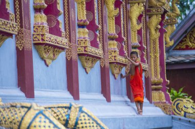 Luang Prabang, Laos - 12 Ağustos 2018: Acemi keşiş Luang Prabang Laos üzerinde 12 Ağustos 2018. Bu yaklaşık 1 içinde 3 erkek Laotians bir manastır en azından bir süre için katılmak tahmin edilmektedir