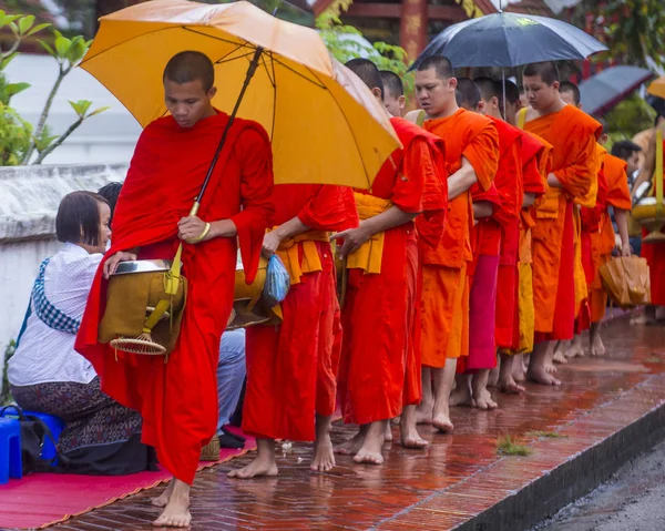Luang Prabang, Laos - 11 Ağustos 2018: Luang Prabang Laos'ta üzerinde 11 Ağustos 2018 töreni Budist sadaka. Bu yaklaşık 1 içinde 3 erkek Laotians bir manastır katılmak tahmin edilmektedir