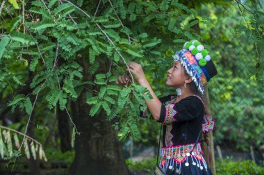 Bam Na Ouan, Laos - Ağustos 13: Bam Na Ouan köyü Laos üzerinde 13 Ağustos 2018 Hmong azınlıkta kızdan. Hmong azınlık Laos 49 etnik gruplarından biridir 