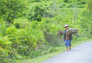 Luang Prabang, Laos - Ağustos 14: Laos çiftçi Luang Prabang Laos üzerinde 14 Ağustos 2018 yakınındaki countrside. Laos hayatımızda köylerde nüfusun neredeyse yüzde 70'i 