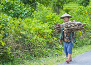Luang Prabang, Laos - Ağustos 14: Laos çiftçi Luang Prabang Laos üzerinde 14 Ağustos 2018 yakınındaki countrside. Laos hayatımızda köylerde nüfusun neredeyse yüzde 70'i 