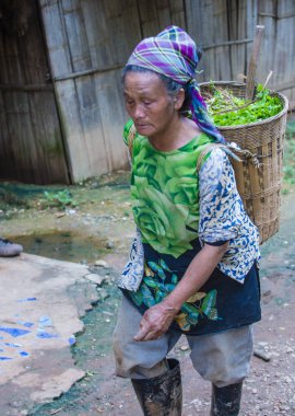 Luang Prabang, Laos - Ağustos 14: Laos çiftçi Luang Prabang Laos üzerinde 14 Ağustos 2018 yakınındaki countrside. Laos hayatımızda köylerde nüfusun neredeyse yüzde 70'i 