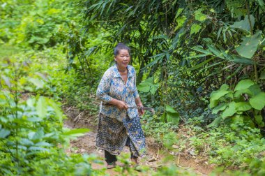 Luang Prabang, Laos - Ağustos 14: Laos çiftçi Luang Prabang Laos üzerinde 14 Ağustos 2018 yakınındaki countrside. Laos hayatımızda köylerde nüfusun neredeyse yüzde 70'i 