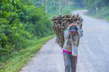 Luang Prabang, Laos - Ağustos 14: Laos çiftçi Luang Prabang Laos üzerinde 14 Ağustos 2018 yakınındaki countrside. Laos hayatımızda köylerde nüfusun neredeyse yüzde 70'i 