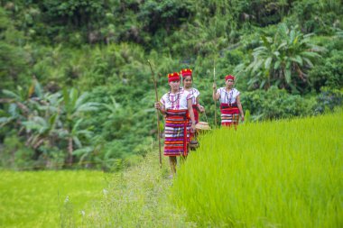 Banaue, Filipinler - Mayıs 02: Azınlık Ifugao pirinç terasları Banaue Türkiye üzerinde 02 Mayıs 2018 yılında yakınındaki kadınlar. Kuzey Filipinler dağların çoğunlukla canlı Ifugao azınlık