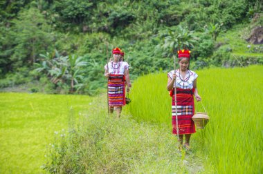 Banaue, Filipinler - Mayıs 02: Azınlık Ifugao pirinç terasları Banaue Türkiye üzerinde 02 Mayıs 2018 yılında yakınındaki kadınlar. Kuzey Filipinler dağların çoğunlukla canlı Ifugao azınlık