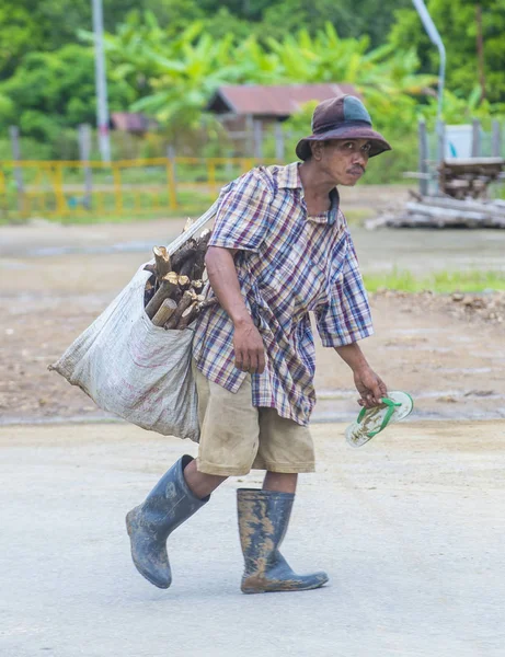 Luang Prabang Laos Ago Labrador Laosiano Campo Cerca Luang Prabang — Foto de Stock