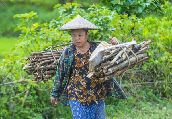 Luang Prabang Laos Aug Laotiaanse Boer Countrside Buurt Van Luang — Stockfoto