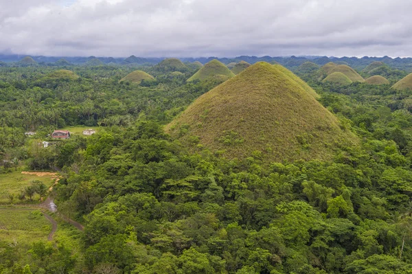 Chocolate Hills Bohol Saari Filippiinit — kuvapankkivalokuva