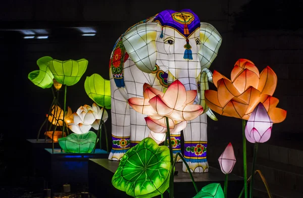 Soul Května Barevné Lucerny Dekorace Cheonggyecheon Stream Během Festival Lotus — Stock fotografie