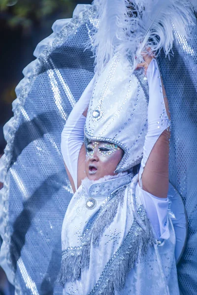 Tokyo Ağustos Katılımcı Asakusa Samba Karnaval Tokyo Japonya Üzerinde Ağustos — Stok fotoğraf