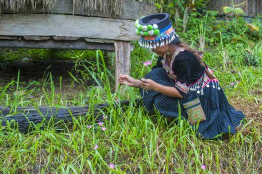 Bam Na Ouan, Laos - Ağustos 13: Bam Na Ouan köyü Laos üzerinde 13 Ağustos 2018 Hmong azınlıkta kızdan. Hmong azınlık Laos 49 etnik gruplarından biridir 