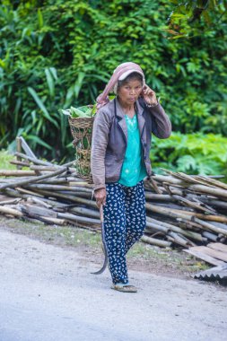 Luang Prabang, Laos - Ağustos 14: Laos çiftçi Luang Prabang Laos üzerinde 14 Ağustos 2018 yakınındaki countrside. Laos hayatımızda köylerde nüfusun neredeyse yüzde 70'i 