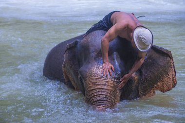 Luang Prabang, Laos - Ağustos 13: Fil banyo Luang Prabang Laos yakınındaki bir fil kampında üzerinde 13 Ağustos 2018. Fil Laos ulusal hayvan olarak kabul edilir