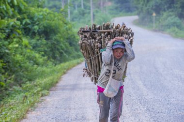 Luang Prabang, Laos - Ağustos 14: Laos çiftçi Luang Prabang Laos üzerinde 14 Ağustos 2018 yakınındaki countrside. Laos hayatımızda köylerde nüfusun neredeyse yüzde 70'i 