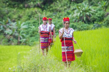 Banaue, Filipinler - Mayıs 02: Azınlık Ifugao pirinç terasları Banaue Türkiye üzerinde 02 Mayıs 2018 yılında yakınındaki kadınlar. Kuzey Filipinler dağların çoğunlukla canlı Ifugao azınlık
