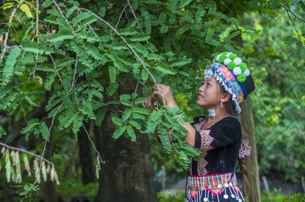 Bam Ouan Laos Ago Niña Minoría Hmong Aldea Bam Ouan —  Fotos de Stock