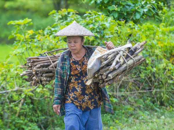 Luang Prabang Laos Aug Laotiaanse Boer Countrside Buurt Van Luang — Stockfoto