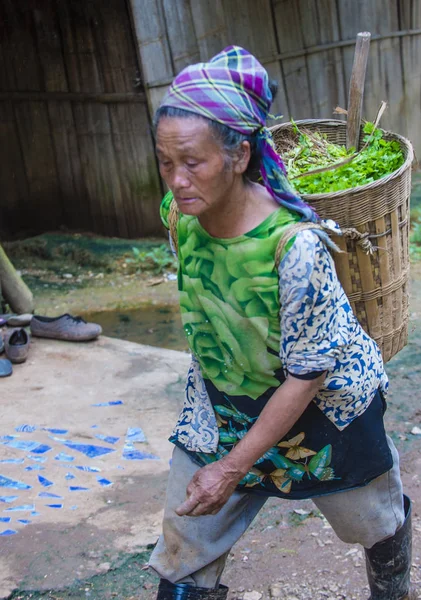 Luang Prabang Laos Agosto Fazendeiro Laociano Campo Perto Luang Prabang — Fotografia de Stock