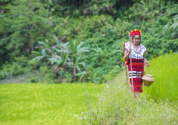 Банауэ Филиппинес Мая Женщина Меньшинства Ифугао Возле Рисовых Террас Банауэ — стоковое фото