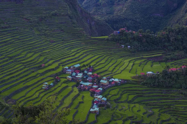 Vista Dos Campos Terraços Arroz Banaue Filipinas Terraços Arroz Banaue — Fotografia de Stock