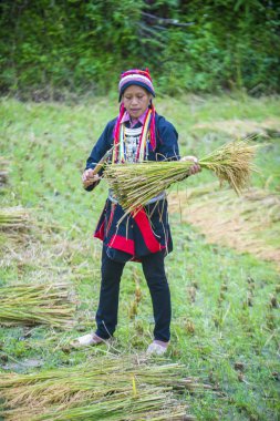 Ha Giang, Vietnam - Ekim 14: Kırmızı Dao azınlık Ha Giang Vietnam üzerinde 14 Eylül 2018 yakınlarındaki bir kasabada'kadın. Kırmızı Dao Vietnam 54 etnik gruplarından biridir