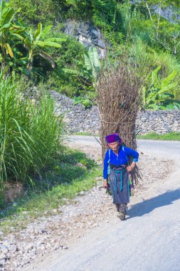 Ha Giang, Vietnam - 15 Eylül: Vietnam çiftçi Ha Giang Vietnam üzerinde 15 Eylül 2018 yakınındaki bir countrside. kırsal köylerde yaşayan Vietnam nüfusunun neredeyse yüzde 80'i