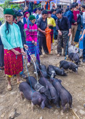 Dong Van, Vietnam - Ekim 16: Hafta sonu Pazar Dong Van Vietnam üzerinde 16 Eylül 2018. Piyasada çevreleyen tepelerden etnik gruplar için ticari bir yer