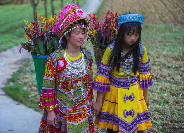 Dong Van Vietnam Sep Meisjes Van Hmong Minderheid Een Dorpje — Stockfoto