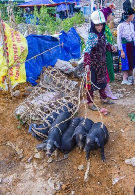 Dong Van, Vietnam - Ekim 16: Hafta sonu Pazar Dong Van Vietnam üzerinde 16 Eylül 2018. Piyasada çevreleyen tepelerden etnik gruplar için ticari bir yer