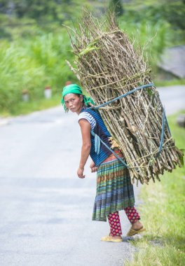 Ha Giang, Vietnam - 15 Eylül: Vietnam çiftçi Ha Giang Vietnam üzerinde 15 Eylül 2018 yakınındaki bir countrside. kırsal köylerde yaşayan Vietnam nüfusunun neredeyse yüzde 80'i