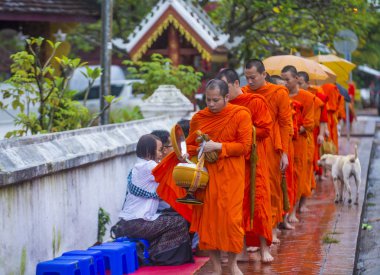 Luang Prabang, Laos - 11 Ağustos 2018: Luang Prabang Laos'ta üzerinde 11 Ağustos 2018 töreni Budist sadaka. Bu yaklaşık 1 içinde 3 erkek Laotians bir manastır katılmak tahmin edilmektedir