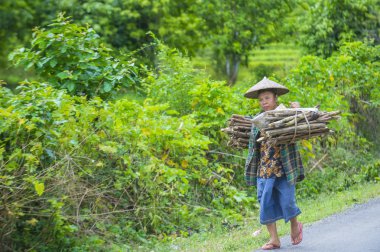 Luang Prabang, Laos - Ağustos 14: Laos çiftçi Luang Prabang Laos üzerinde 14 Ağustos 2018 yakınındaki countrside. Laos hayatımızda köylerde nüfusun neredeyse yüzde 70'i 