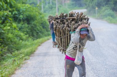 Luang Prabang, Laos - Ağustos 14: Laos çiftçi Luang Prabang Laos üzerinde 14 Ağustos 2018 yakınındaki countrside. Laos hayatımızda köylerde nüfusun neredeyse yüzde 70'i 