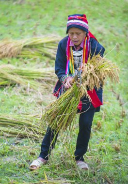 Ha Giang, Vietnam - Ekim 14: Kırmızı Dao azınlık Ha Giang Vietnam üzerinde 14 Eylül 2018 yakınlarındaki bir kasabada'kadın. Kırmızı Dao Vietnam 54 etnik gruplarından biridir