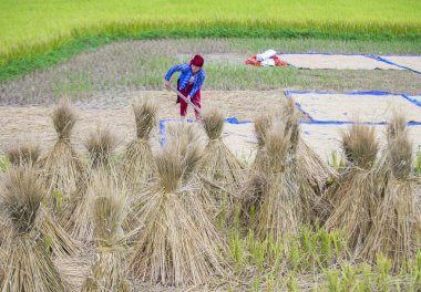 Ha Giang, Vietnam - 15 Eylül: Vietnam çiftçi Ha Giang Vietnam üzerinde 15 Eylül 2018 yakınındaki bir countrside. kırsal köylerde yaşayan Vietnam nüfusunun neredeyse yüzde 80'i