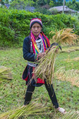 Ha Giang, Vietnam - Ekim 14: Kırmızı Dao azınlık Ha Giang Vietnam üzerinde 14 Eylül 2018 yakınlarındaki bir kasabada'kadın. Kırmızı Dao Vietnam 54 etnik gruplarından biridir