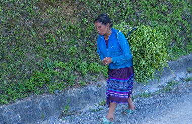Ha Giang, Vietnam - 15 Eylül: Vietnam çiftçi Ha Giang Vietnam üzerinde 15 Eylül 2018 yakınındaki bir countrside. kırsal köylerde yaşayan Vietnam nüfusunun neredeyse yüzde 80'i