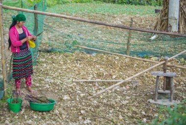 Ha Giang, Vietnam - 15 Eylül: Vietnam çiftçi Ha Giang Vietnam üzerinde 15 Eylül 2018 yakınındaki bir countrside. kırsal köylerde yaşayan Vietnam nüfusunun neredeyse yüzde 80'i