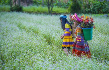 Dong Van, Vietnam - Ekim 16: Hmong azınlık üzerinde 16 Eylül 2018 Vietnam Dong Van yakınlarındaki bir kasabada kızlardan. Hmong Vietnam 54 etnik gruplarından biridir
