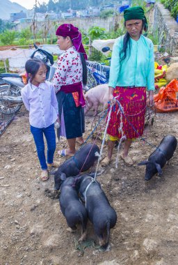 Dong Van, Vietnam - Ekim 16: Hafta sonu Pazar Dong Van Vietnam üzerinde 16 Eylül 2018. Piyasada çevreleyen tepelerden etnik gruplar için ticari bir yer