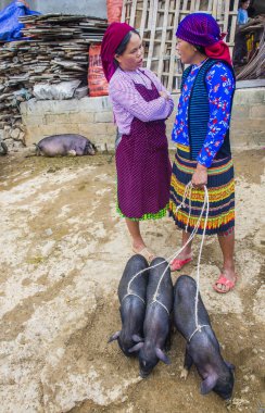 Dong Van, Vietnam - Ekim 16: Hafta sonu Pazar Dong Van Vietnam üzerinde 16 Eylül 2018. Piyasada çevreleyen tepelerden etnik gruplar için ticari bir yer