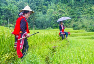 Ha Giang, Vietnam - Ekim 14: Kırmızı Dao azınlık Ha Giang Vietnam üzerinde 14 Eylül 2018 yakınlarındaki bir kasabada kadınlar. Kırmızı Dao Vietnam 54 etnik gruplarından biridir