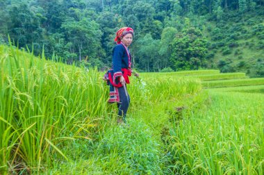 Ha Giang, Vietnam - Ekim 14: Kırmızı Dao azınlık Ha Giang Vietnam üzerinde 14 Eylül 2018 yakınlarındaki bir kasabada'kadın. Kırmızı Dao Vietnam 54 etnik gruplarından biridir